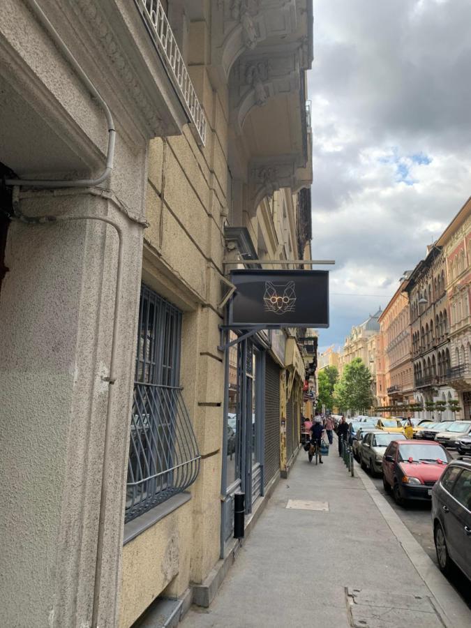 Cool Cat Budapest Apartment Zewnętrze zdjęcie